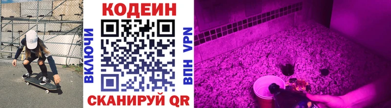 mega ССЫЛКА  Зубцов  Кодеин Purple Drank 