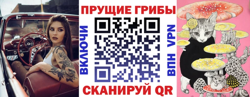 Галлюциногенные грибы ЛСД  blacksprut ТОР  Зубцов 