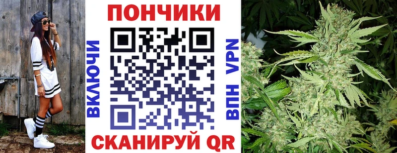 omg онион Зубцов Шишки марихуана THC 21%
